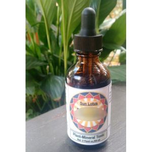 Chaga Mushroom Tonic 60ml