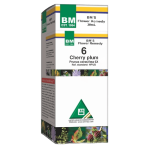 Cherry Plum - 6
